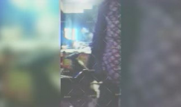 毛毛视频,揭秘生活百态，展现人间真情