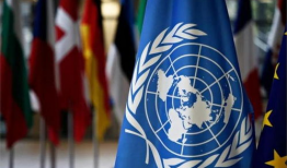 欧美交配视频,探索自然法则下的繁衍奥秘