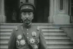 张大帅,传奇人生与时代风云的交织