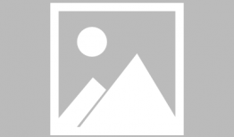 毛片视频在线观看,在线观看背后的真相与风险